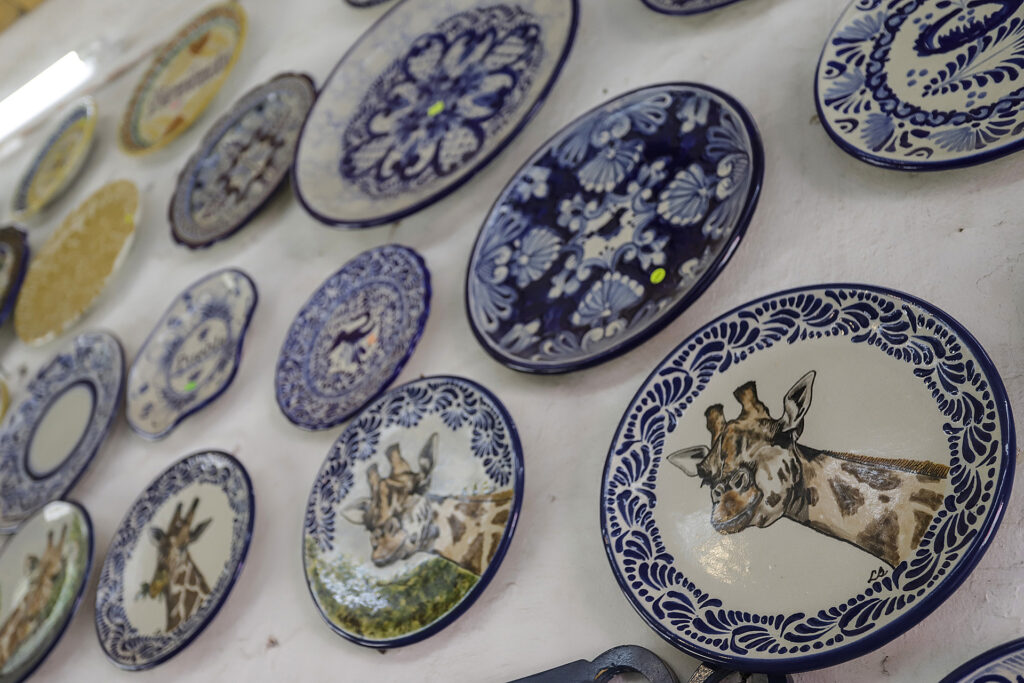 Popularidad de la jirafa Benito llega a la talavera en Puebla - benito-jirafa-puebla-2-1024x683