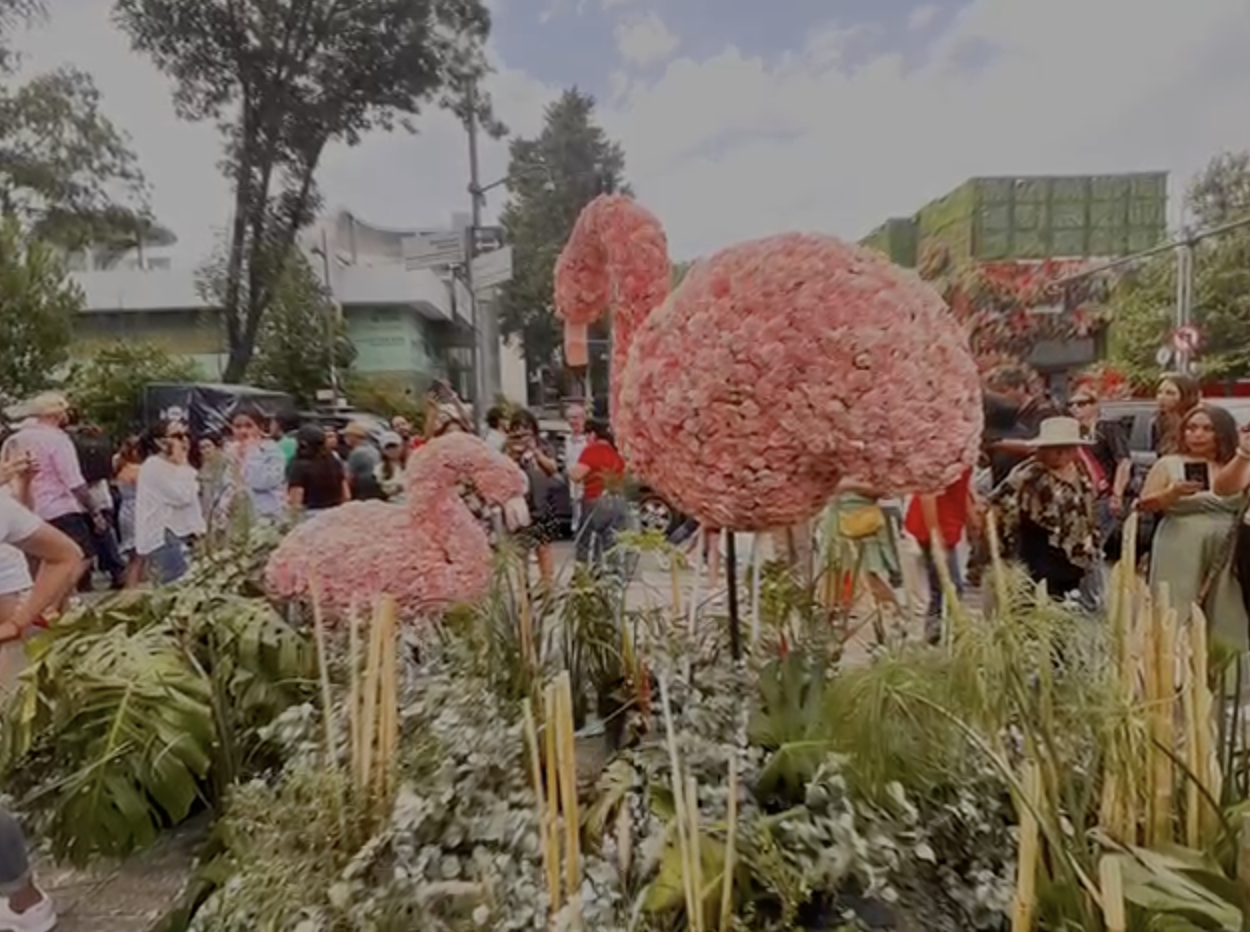 Cientos de personas abarrotan Masaryk en el festival de Flores y Jardines 2024