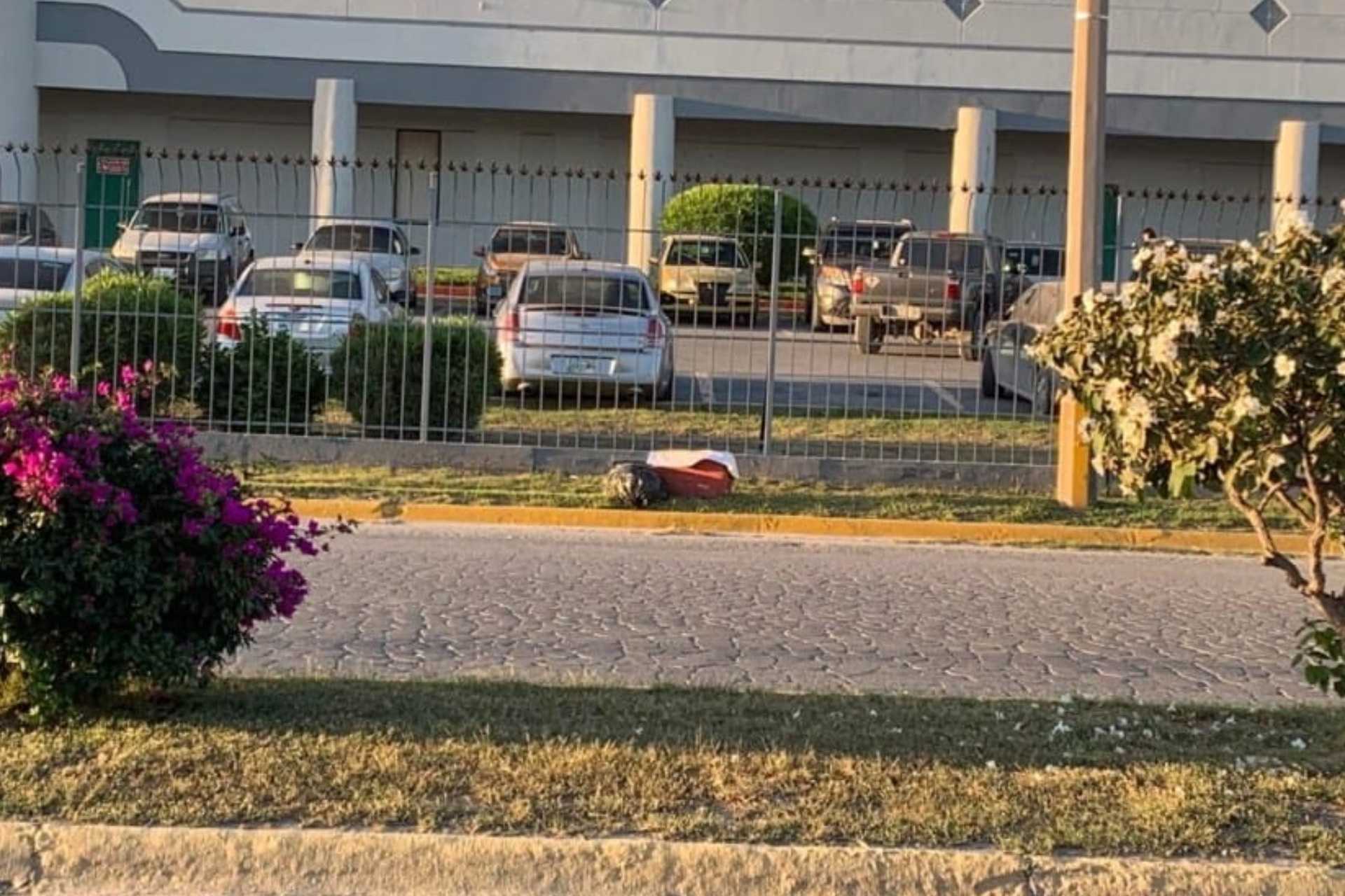 Hallan hielera con restos humanos en Reynosa, Tamaulipas