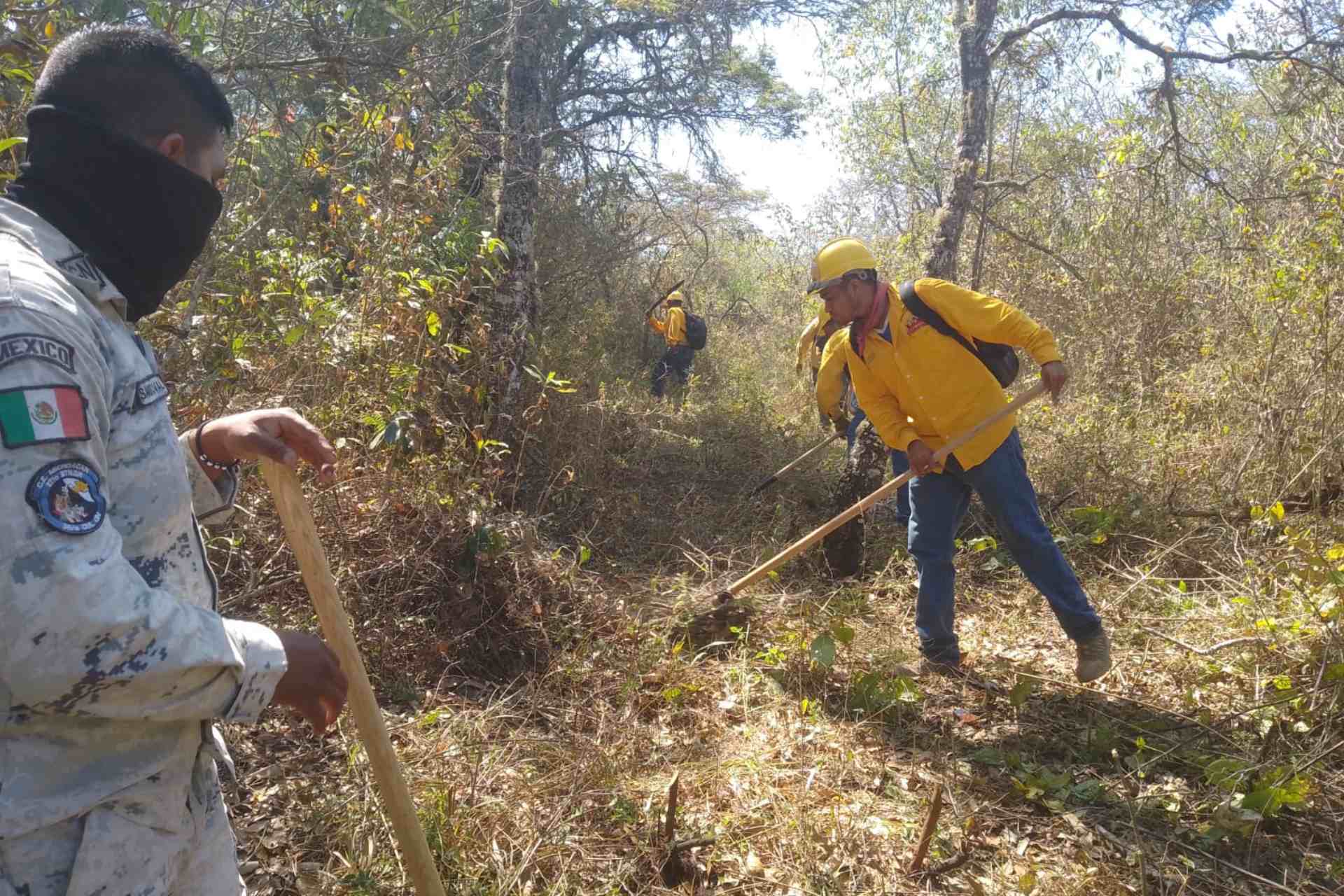 Conafor reporta 69 incendios forestales activos en México