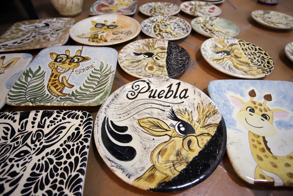 Popularidad de la jirafa Benito llega a la talavera en Puebla - jirafa-benito2-1024x683