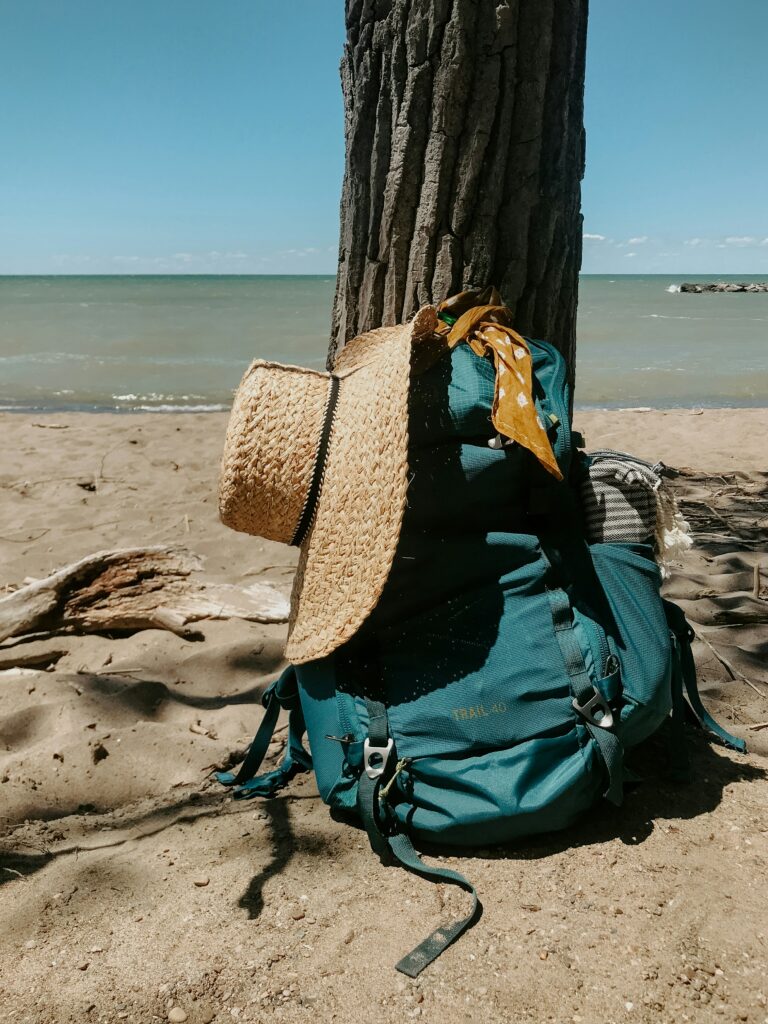 Pafnucio - kat-kelley-ln11ykzb-uu-unsplash-768x1024