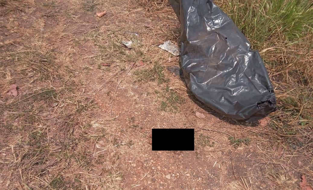 Localizan manos en bolsa negra en Veracruz