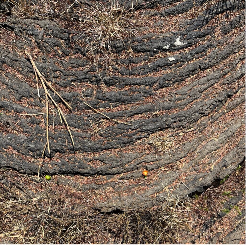 La Ruta de la amistad - ruta7-1024x1017