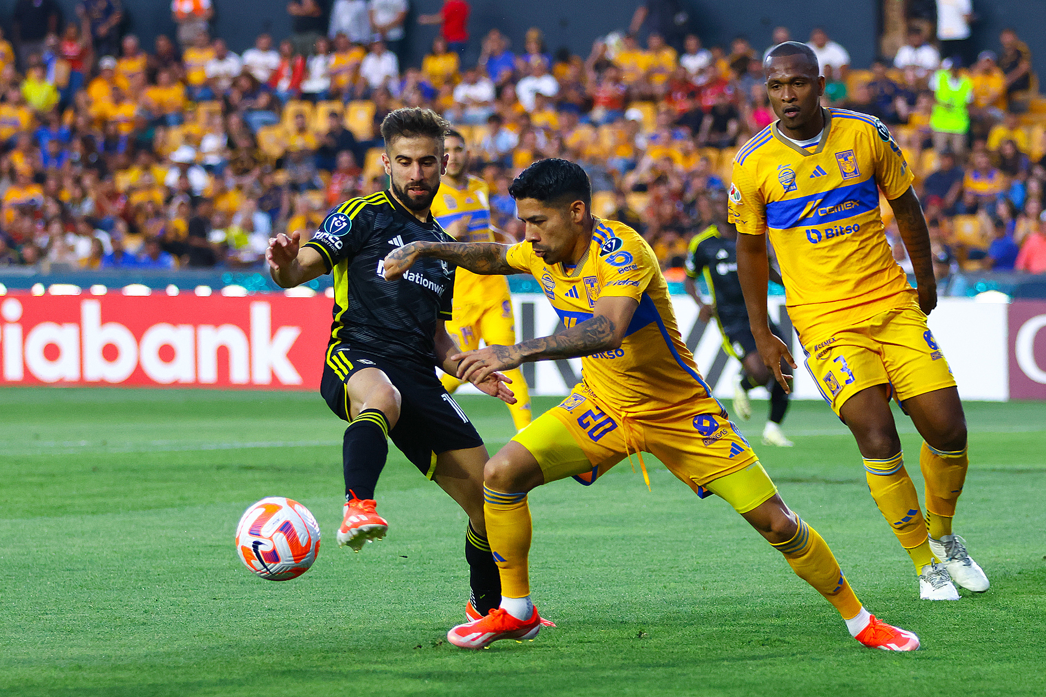 Siboldi reconoce experimentar una sensación de duelo por eliminación de Tigres Siboldi reconoce experimentar una sensación de duelo por eliminación de Tigres