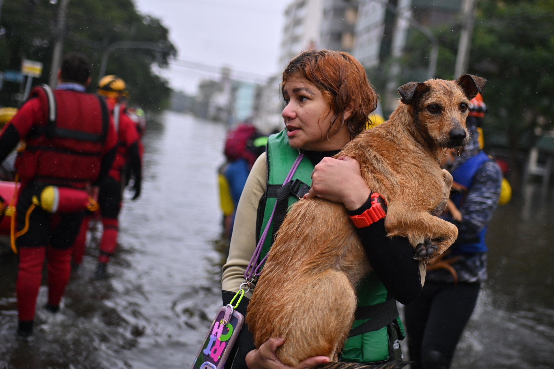 Brasil confirma el rescate de personas con hipotermina que continuaban en sus casas tras inundaciones Brasil confirma el rescate de personas con hipotermina que continuaban en sus casas tras inundaciones