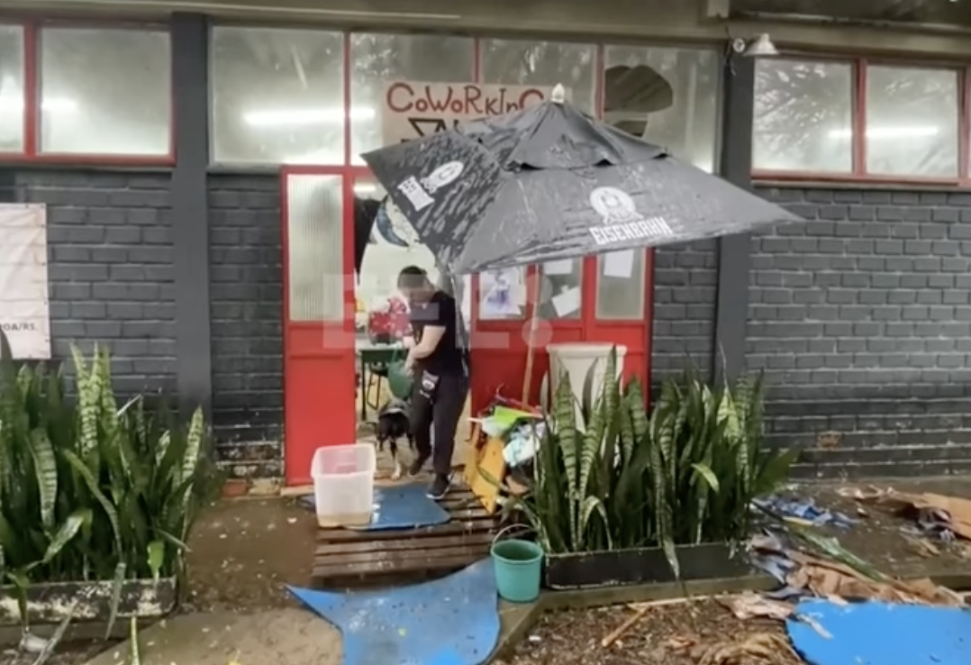 Las mascotas rescatadas de las inundaciones en Brasil aguardan un nuevo hogar Las mascotas rescatadas de las inundaciones en Brasil aguardan un nuevo hogar