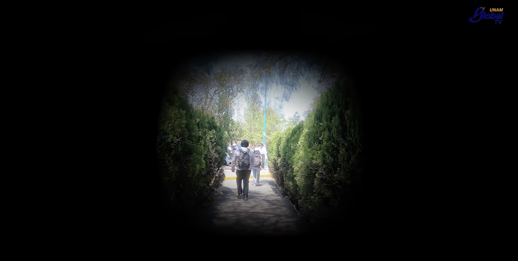 Glaucoma: primera causa de ceguera irreversible Glaucoma: primera causa de ceguera irreversible