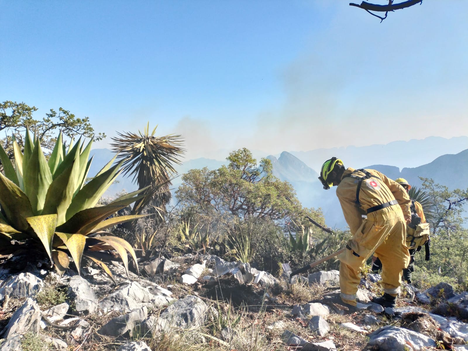 Suman 830 hectáreas afectadas por tres incendios en Nuevo León Suman 830 hectáreas afectadas por tres incendios en Nuevo León
