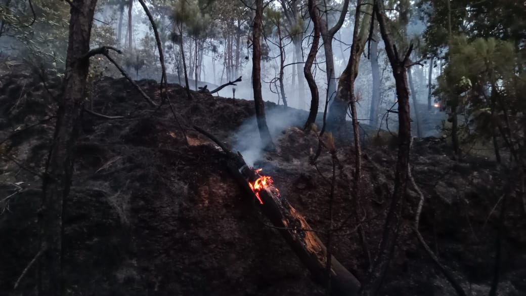 Quemas agrícolas no controladas provocan un tercio de los incendios forestales