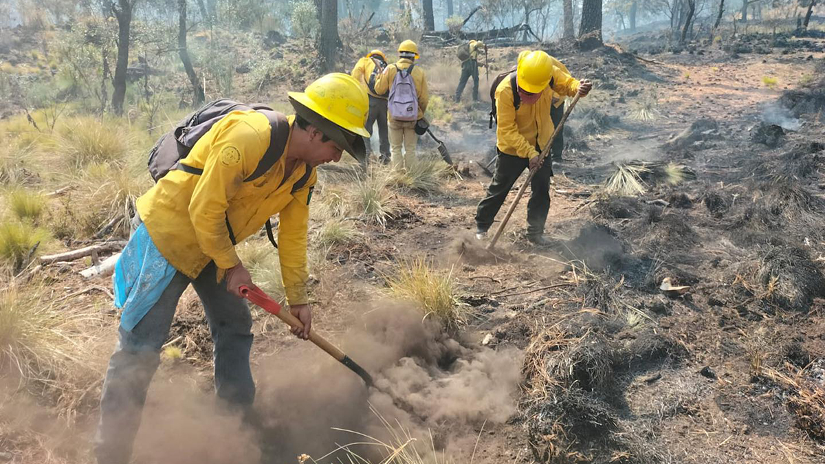 Incendios consumen 108 hectáreas en Morelos Incendios consumen 108 hectáreas en Morelos