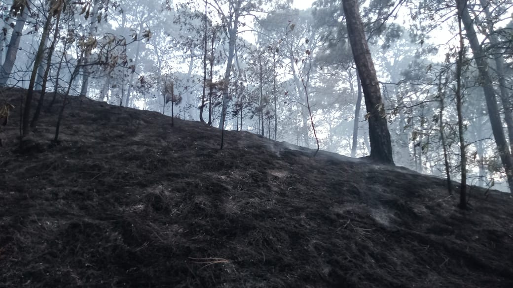Después de tres días de labores, liquidan incendios en Valle de Bravo Después de tres días de labores, liquidan incendios en Valle de Bravo