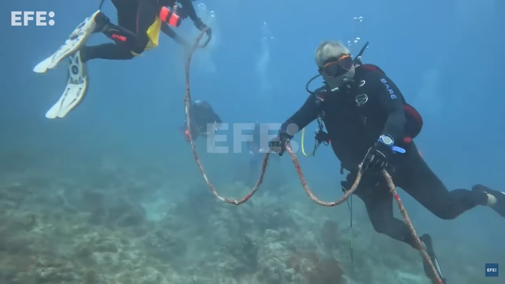 Centenares de voluntarios limpian los arrecifes de los Cayos de Florida Centenares de voluntarios limpian los arrecifes de los Cayos de Florida