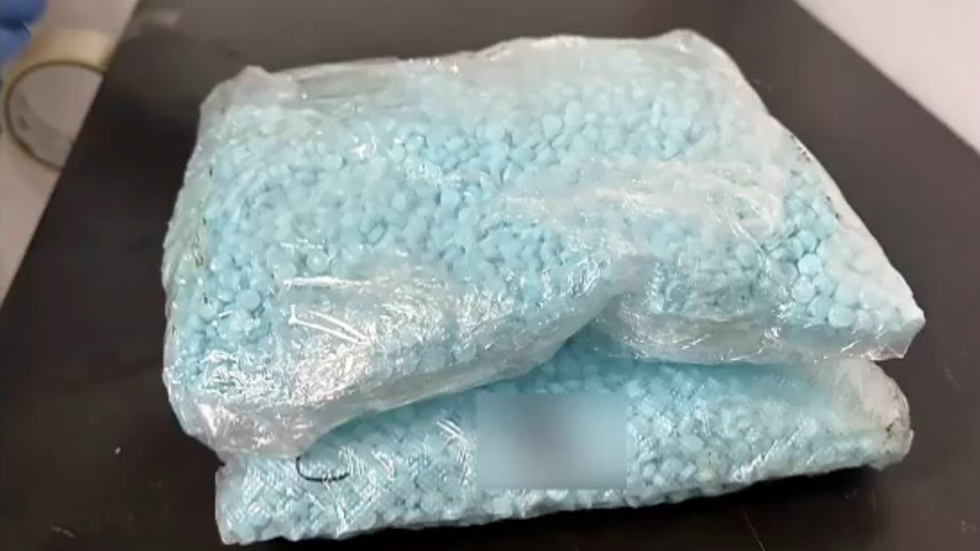 Confiscan 320 mil pastillas de fentanilo en Guadalajara Confiscan 320 mil pastillas de fentanilo en Guadalajara