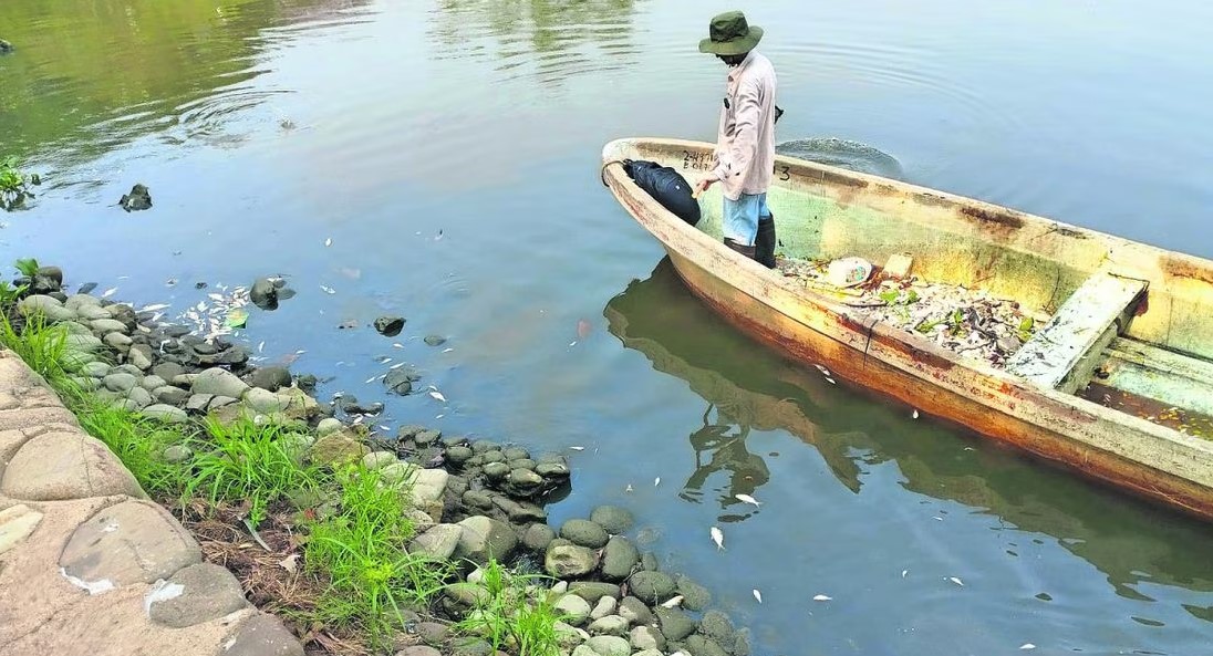 Tabasco registra miles de peces muertos por altas temperaturas