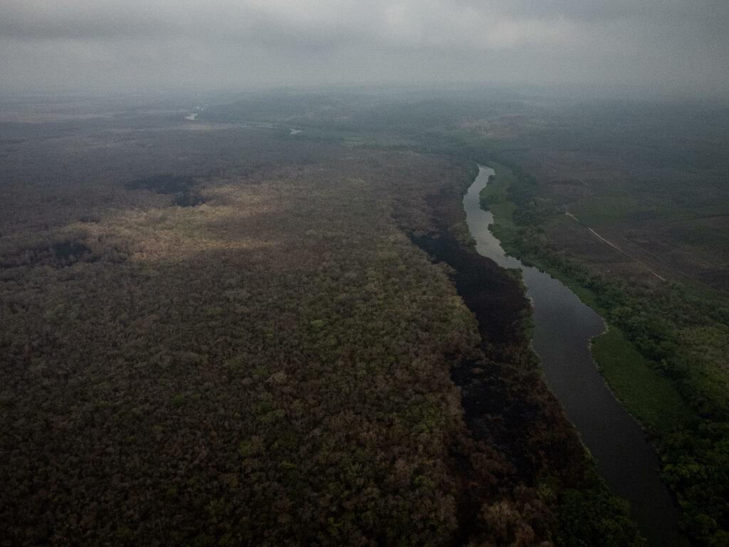 Incendios en Guatemala arrasaron con la selva maya; "la cicatriz es enorme" - afectaciones-en-selva-maya-de-guatemala-por-incendios-1024x768