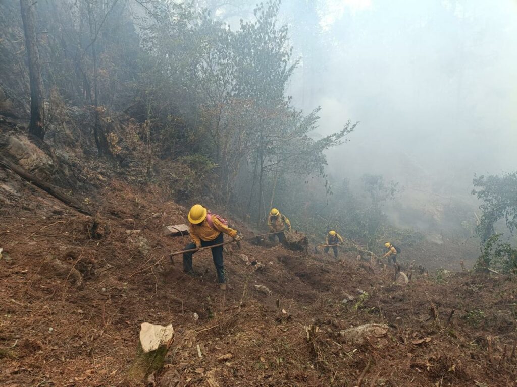 Brigadas en Veracruz combaten 19 incendios forestales