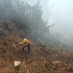 Brigadas en Veracruz combaten 19 incendios forestales