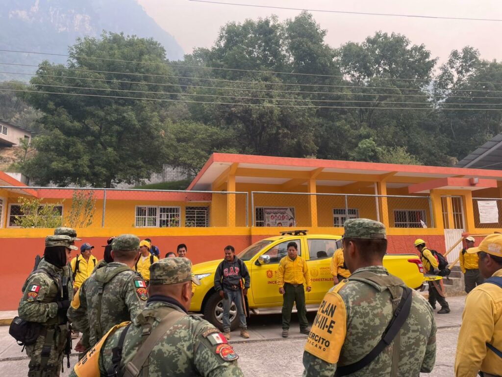 Brigadas en Veracruz combaten 19 incendios forestales - brigadas-en-veracruz-combaten-19-incendios-forestales-3-1024x768