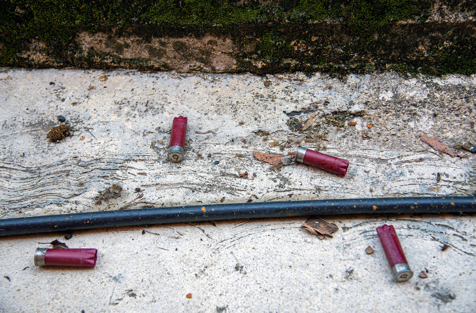 Suman 190 mil 349 homicidios dolosos en lo que va del sexenio