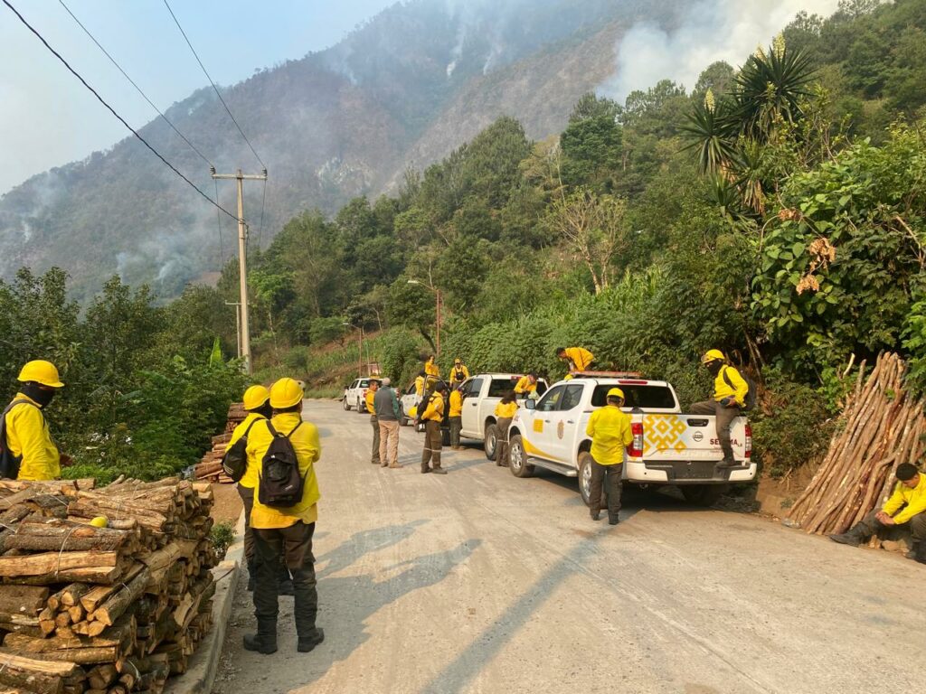 Aumentan a 23 los incendios forestales activos en Veracruz