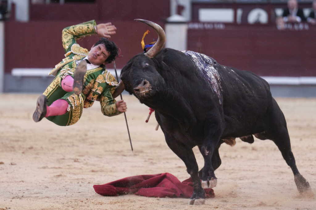 Torero mexicano Isaac Fonseca abandona la unidad cuidados intensivos, tras grave cornada en Madrid