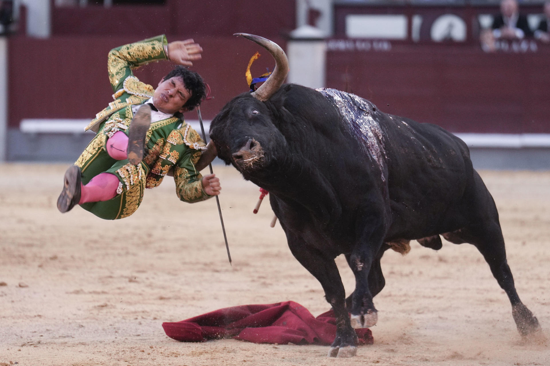 Torero mexicano Isaac Fonseca abandona la unidad cuidados intensivos, tras grave cornada en Madrid Torero mexicano Isaac Fonseca abandona la unidad cuidados intensivos, tras grave cornada en Madrid