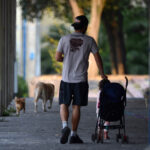¿Cuándo es el Día del Padre este 2026 en México?