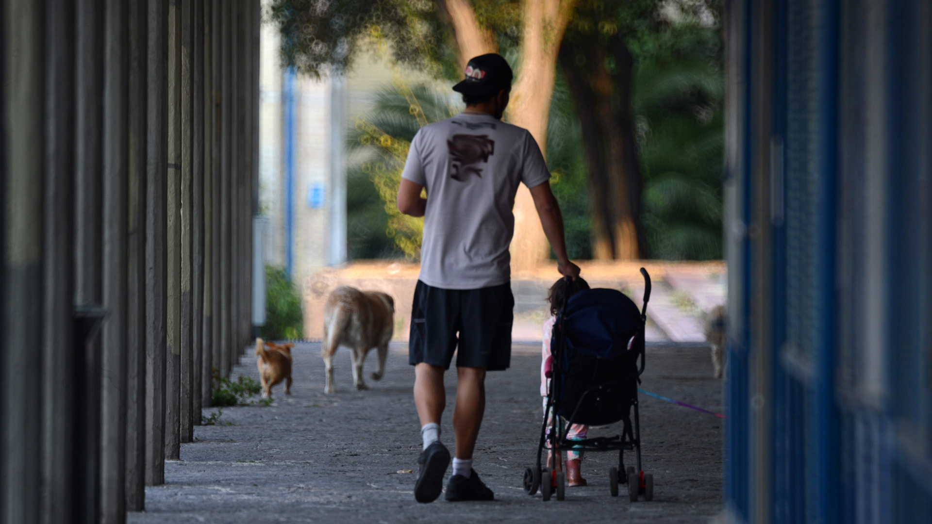 Padres mexicanos, con mayor participación en el cuidado y crianza de los hijos Padres mexicanos, con mayor participación en el cuidado y crianza de los hijos