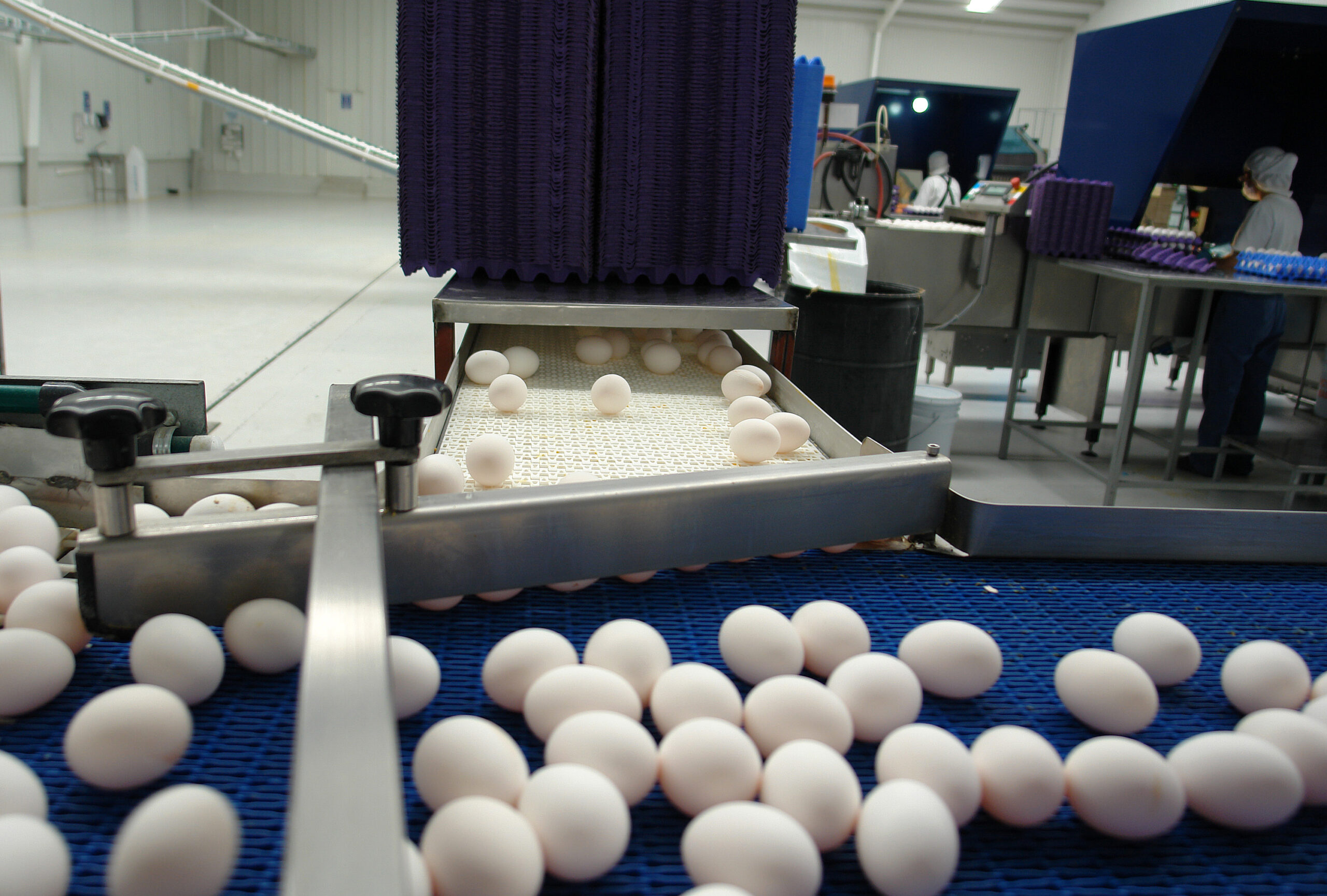 Producción agroalimentaria de México creció 1.6 por ciento valor en 2023