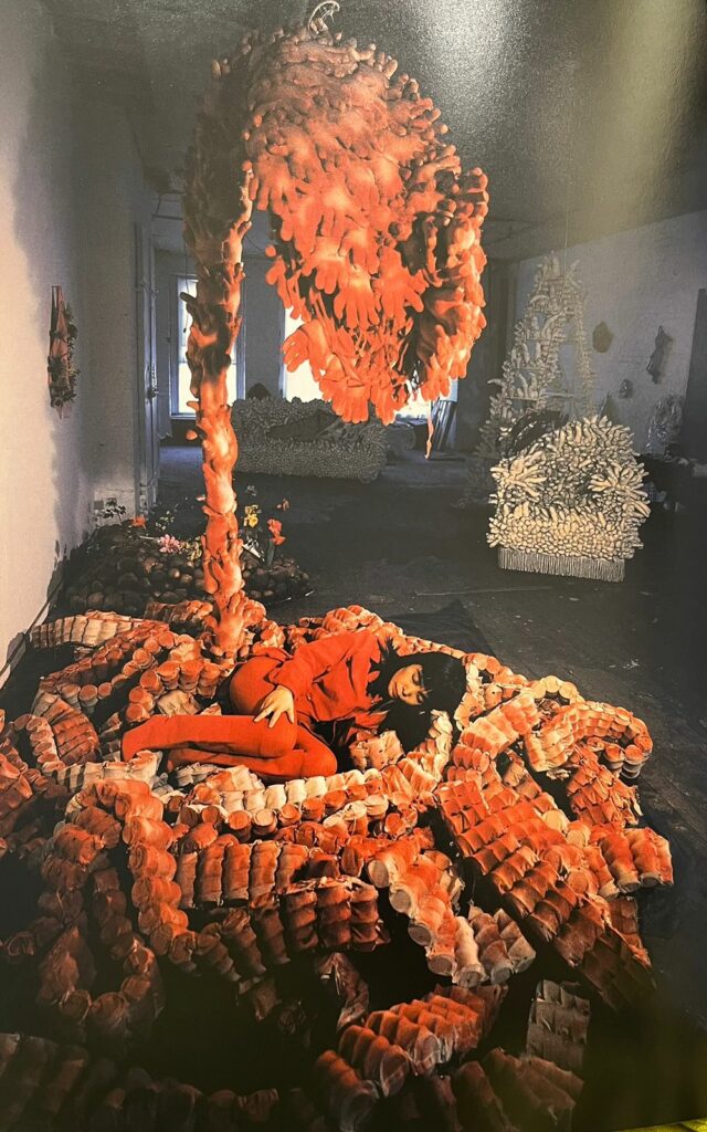 “Nació en Primavera” - whatsapp-image-2024-06-14-at-84039-pm-1-640x1024