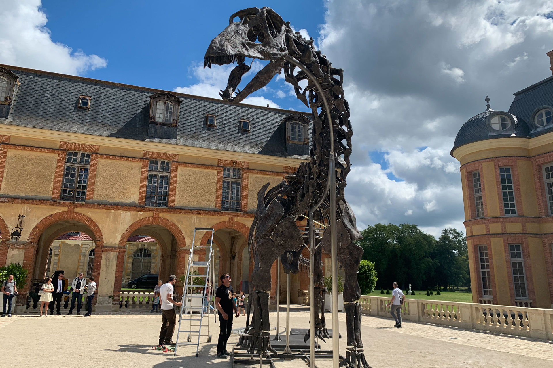 El esqueleto del mayor dinosaurio a la venta saldrá a subasta en noviembre en Francia