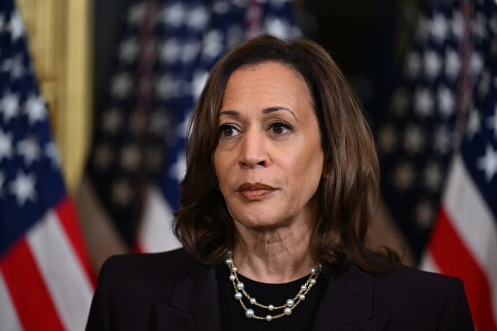 Kamala Harris, tras reunirse con Netanyahu: "llegó la hora de poner fin a la guerra en Gaza" - kamala-harris-tras-reunirse-con-netanyahu-llego-la-hora-de-poner-fin-a-la-guerra-en-gaza-3-1024x683