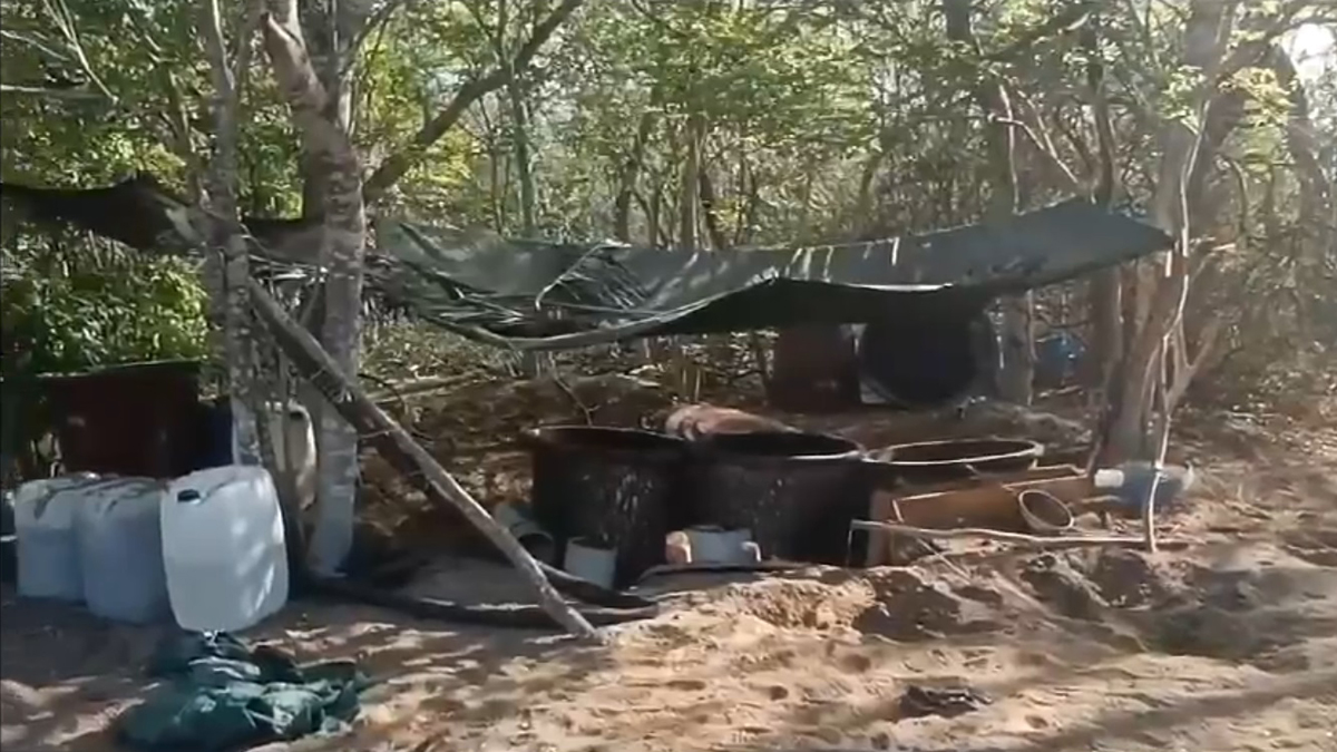 Semar y FGR destruyen narcolaboratorio en Sinaloa