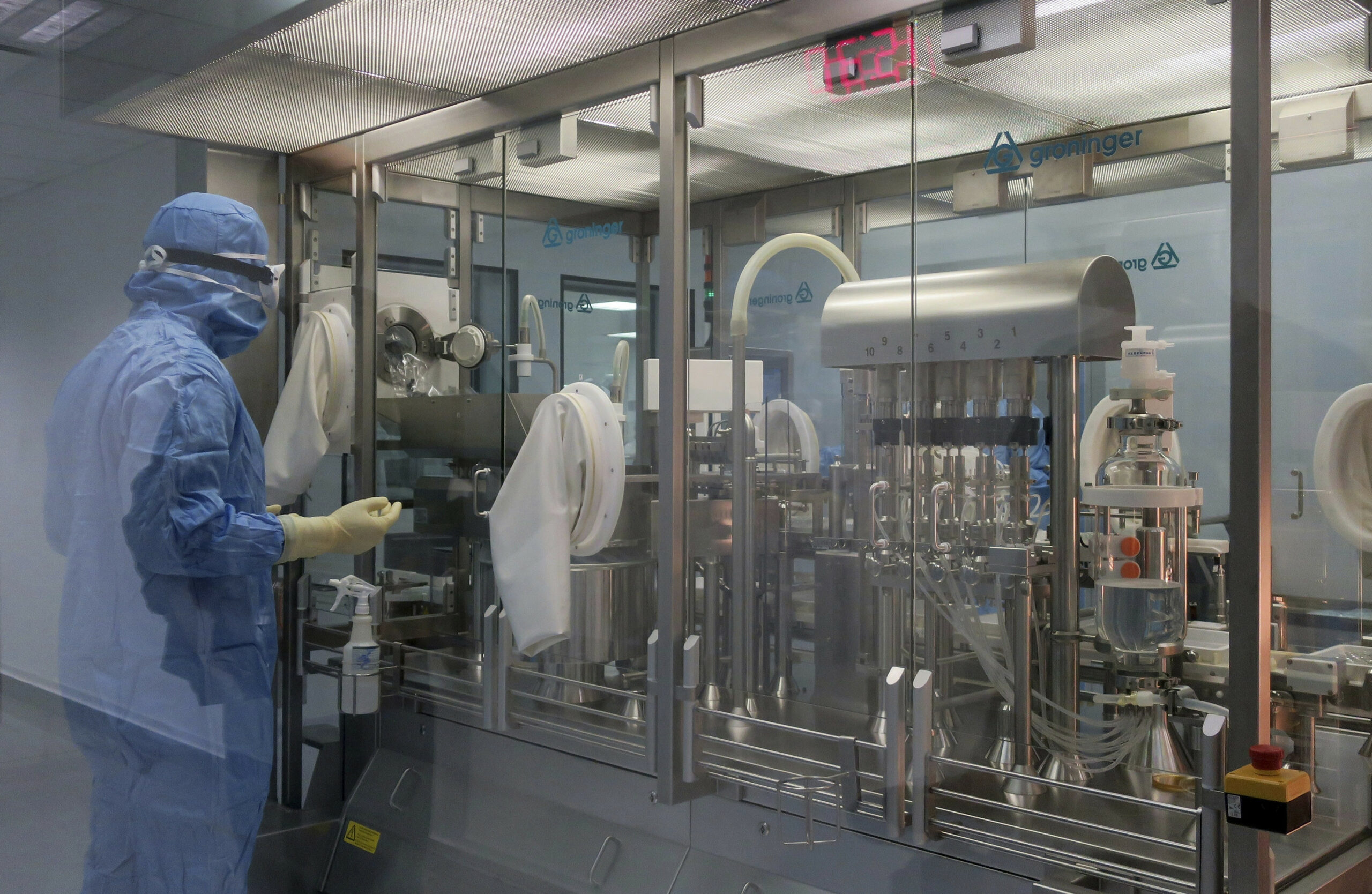 Australia alerta del peligro de que la gripe aviar lleve a la extinción a varias especies Australia alerta del peligro de que la gripe aviar lleve a la extinción a varias especies