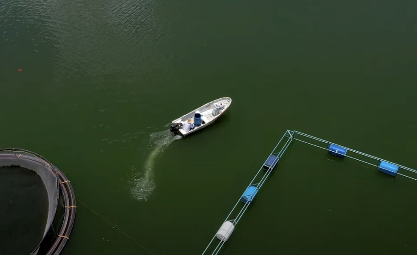 Crisis pesquera en la presa Zimapán