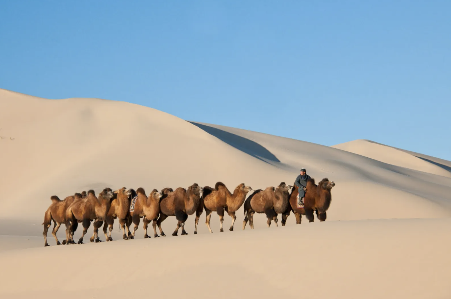 El desierto de Gobi, un viaje a la tierra de los nómadas El desierto de Gobi, un viaje a la tierra de los nómadas