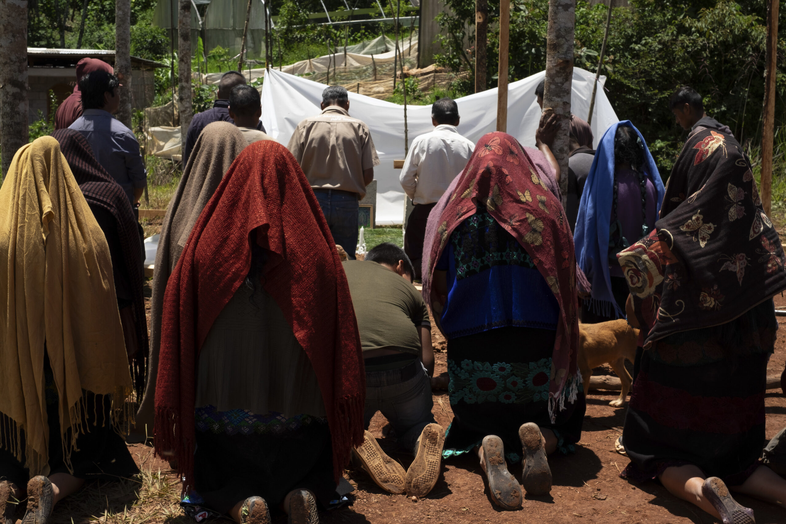 Indígenas desplazados por violencia en Chiapas piden ayuda a López Obrador Indígenas desplazados por violencia en Chiapas piden ayuda a López Obrador