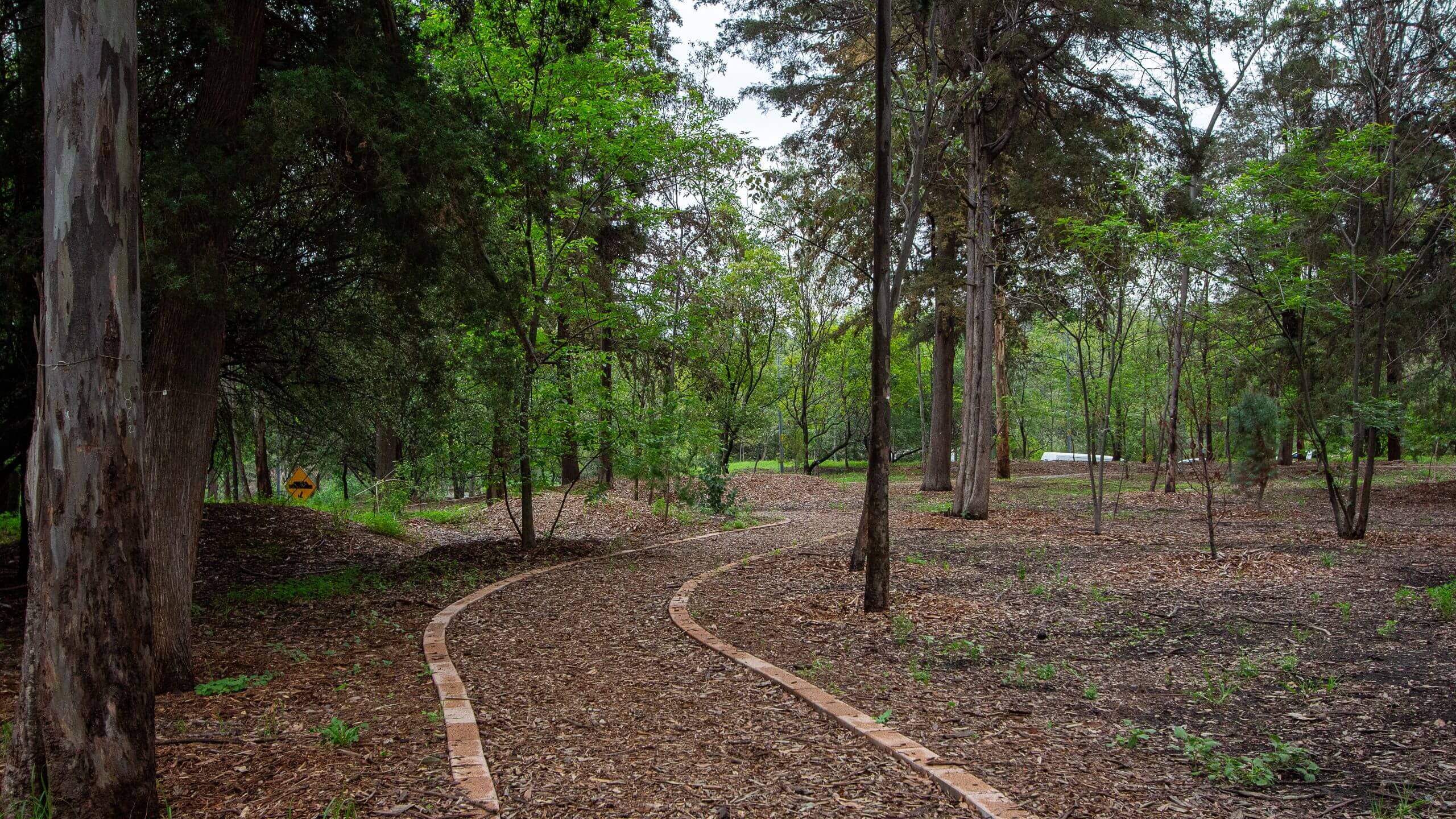 ¿Cómo afectan las obras inmobiliarias al Bosque de Chapultepec?