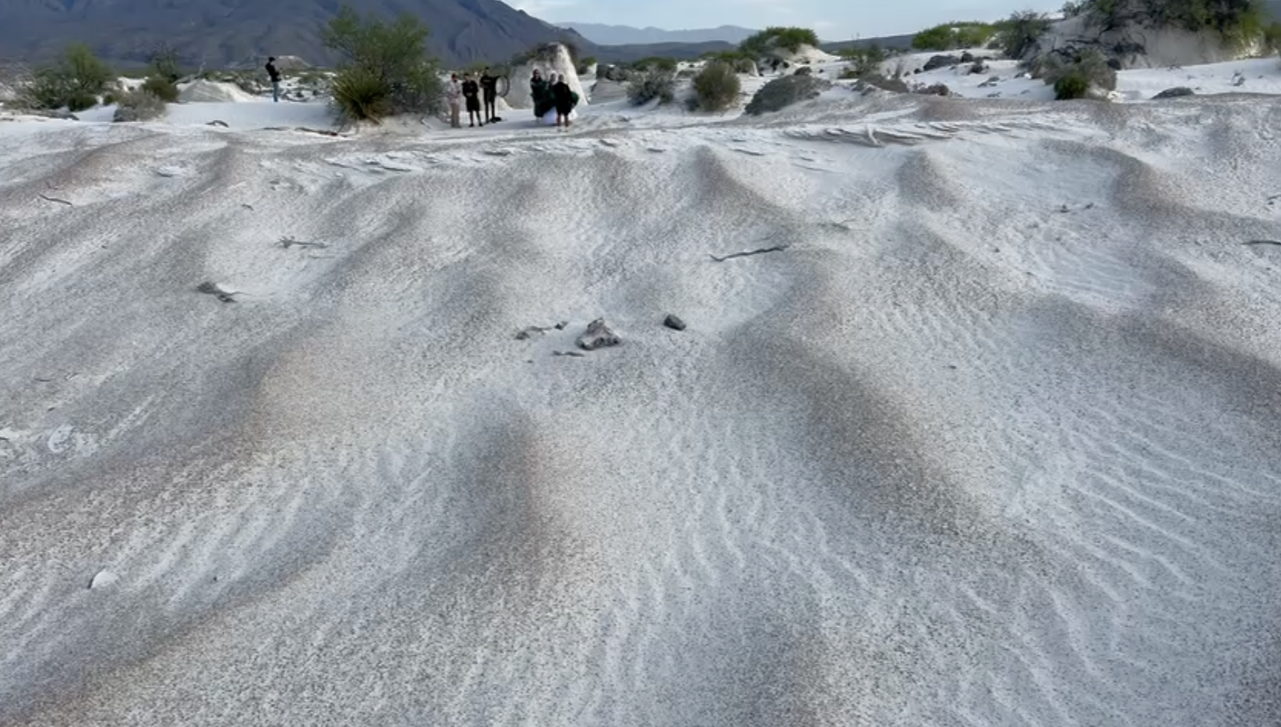 Las dunas de yeso en Coahuila, uno de los desiertos de arena blanca más espectaculares del mundo Las dunas de yeso en Coahuila, uno de los desiertos de arena blanca más espectaculares del mundo