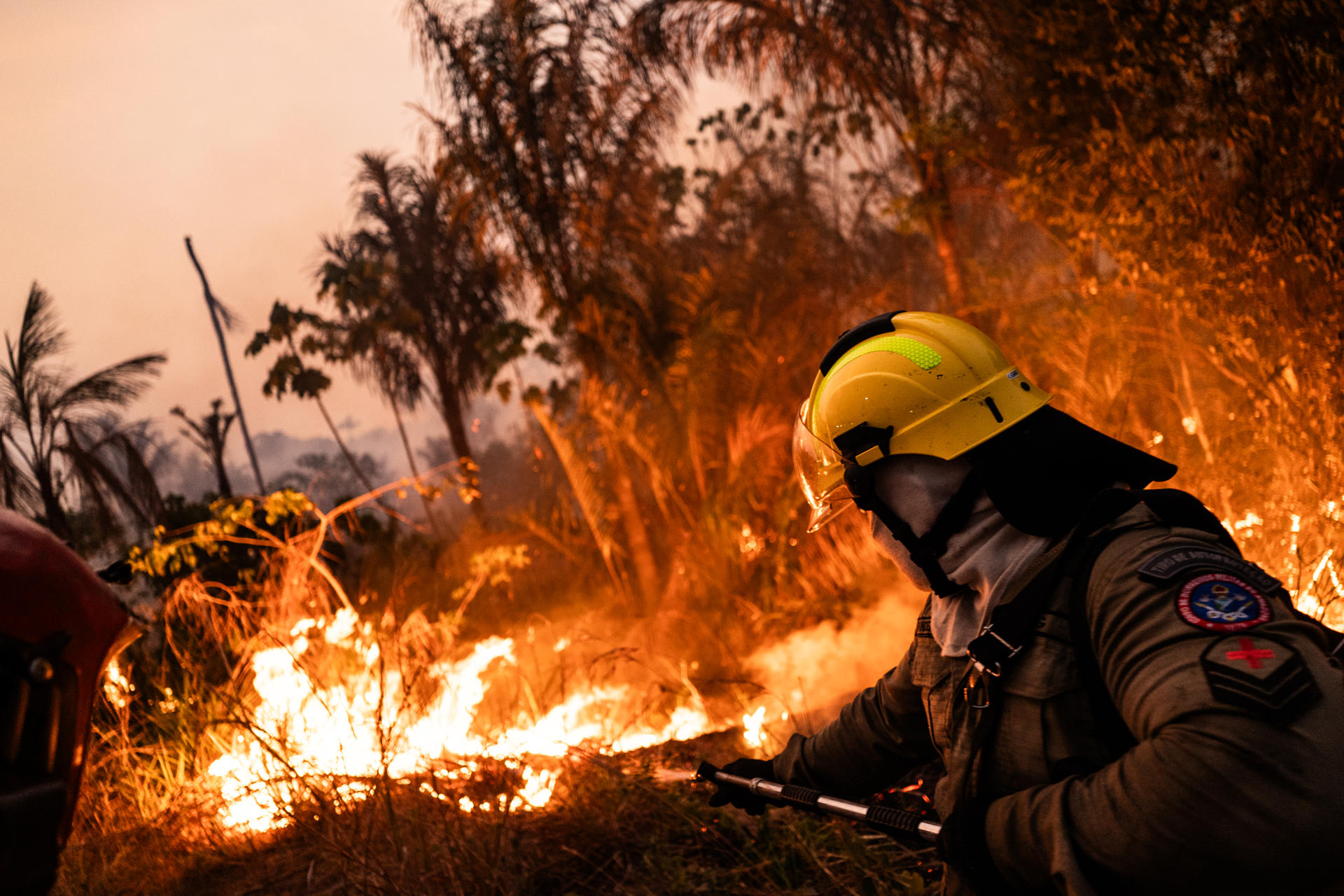 Incendios consumieron casi 7 millones de hectáreas en la Amazonía brasileña Incendios consumieron casi 7 millones de hectáreas en la Amazonía brasileña