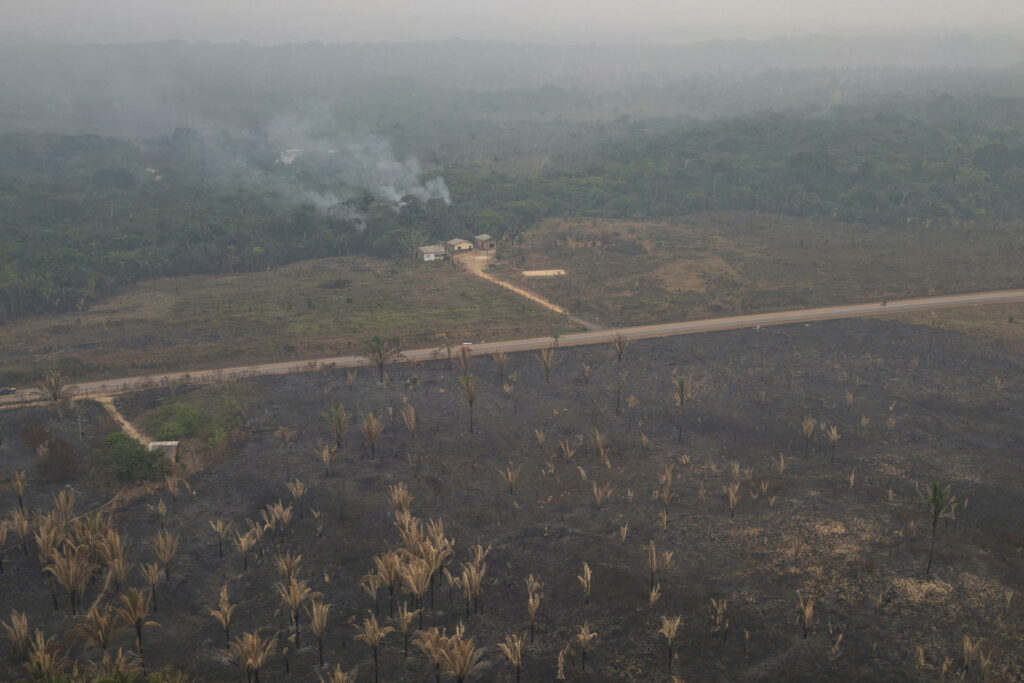 Incendios consumieron casi 7 millones de hectáreas en la Amazonía brasileña - incendio-forestal-cerca-de-porto-velho-1024x683
