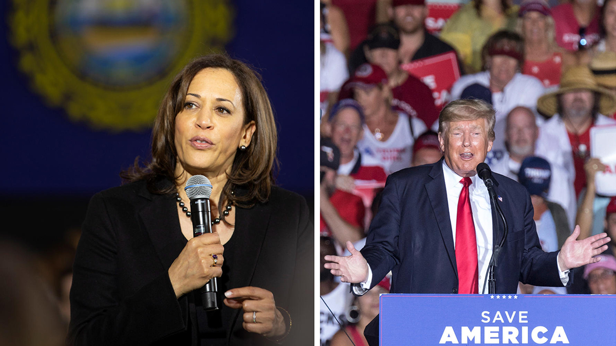 Ini yang dijanjikan Kamala Harris dan Donald Trump jika menang pemilu AS.