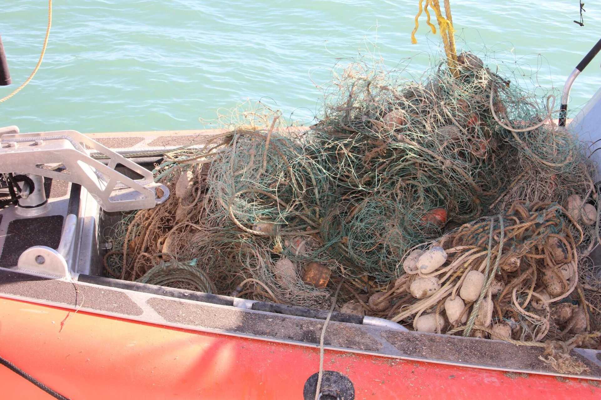 Organización revela que EE.UU. sancionó a México por pesca ilegal y restringe el acceso a sus puertos Organización revela que EE.UU. sancionó a México por pesca ilegal y restringe el acceso a sus puertos