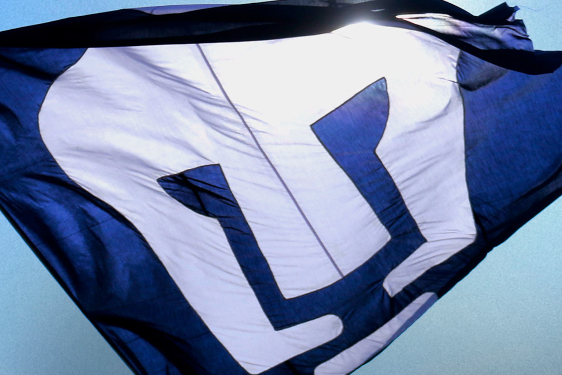 Pumas de la UNAM celebra su 70 aniversario Pumas de la UNAM celebra su 70 aniversario