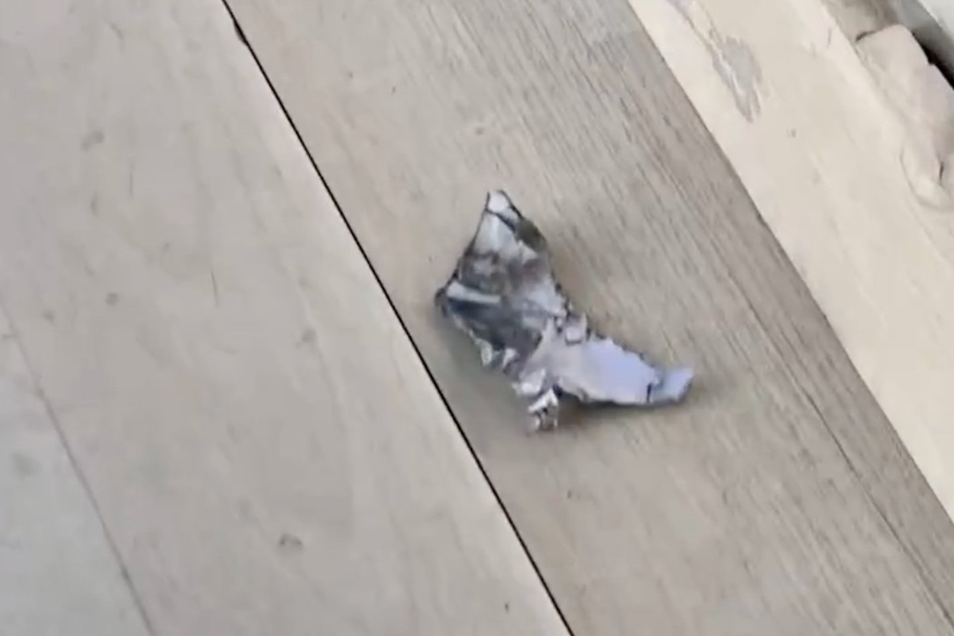 Arrojan explosivo a periodistas en instalaciones de Chivas