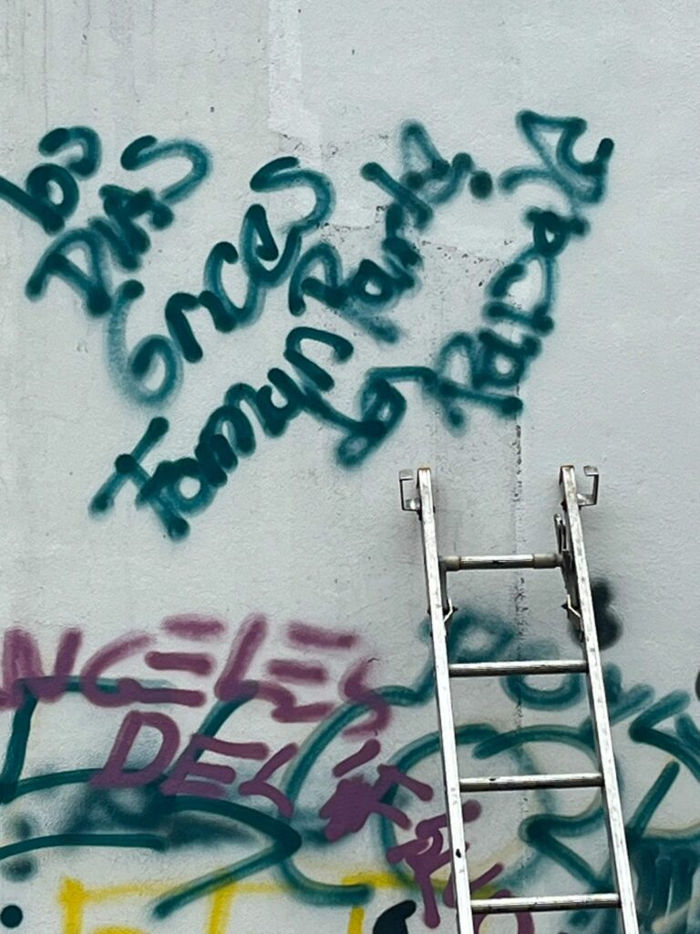 Los días grises - whatsapp-image-2024-10-03-at-82736-pm-768x1024