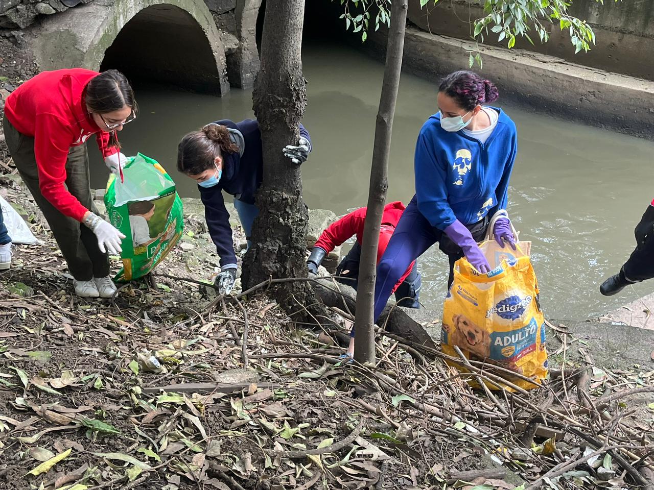 SFF Oct 20 2024 SFF Oct 20 2024