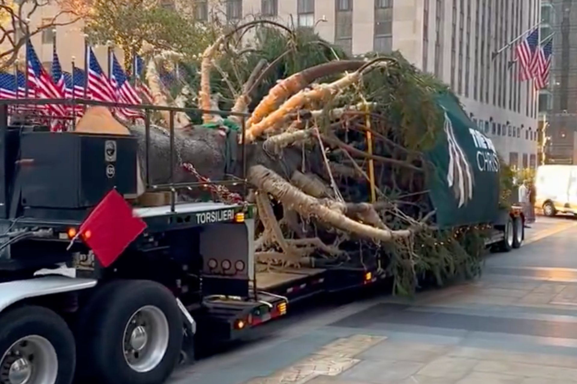 Árbol de Navidad del Rockefeller Center llega a Nueva York para inaugurar la temporada Árbol de Navidad del Rockefeller Center llega a Nueva York para inaugurar la temporada