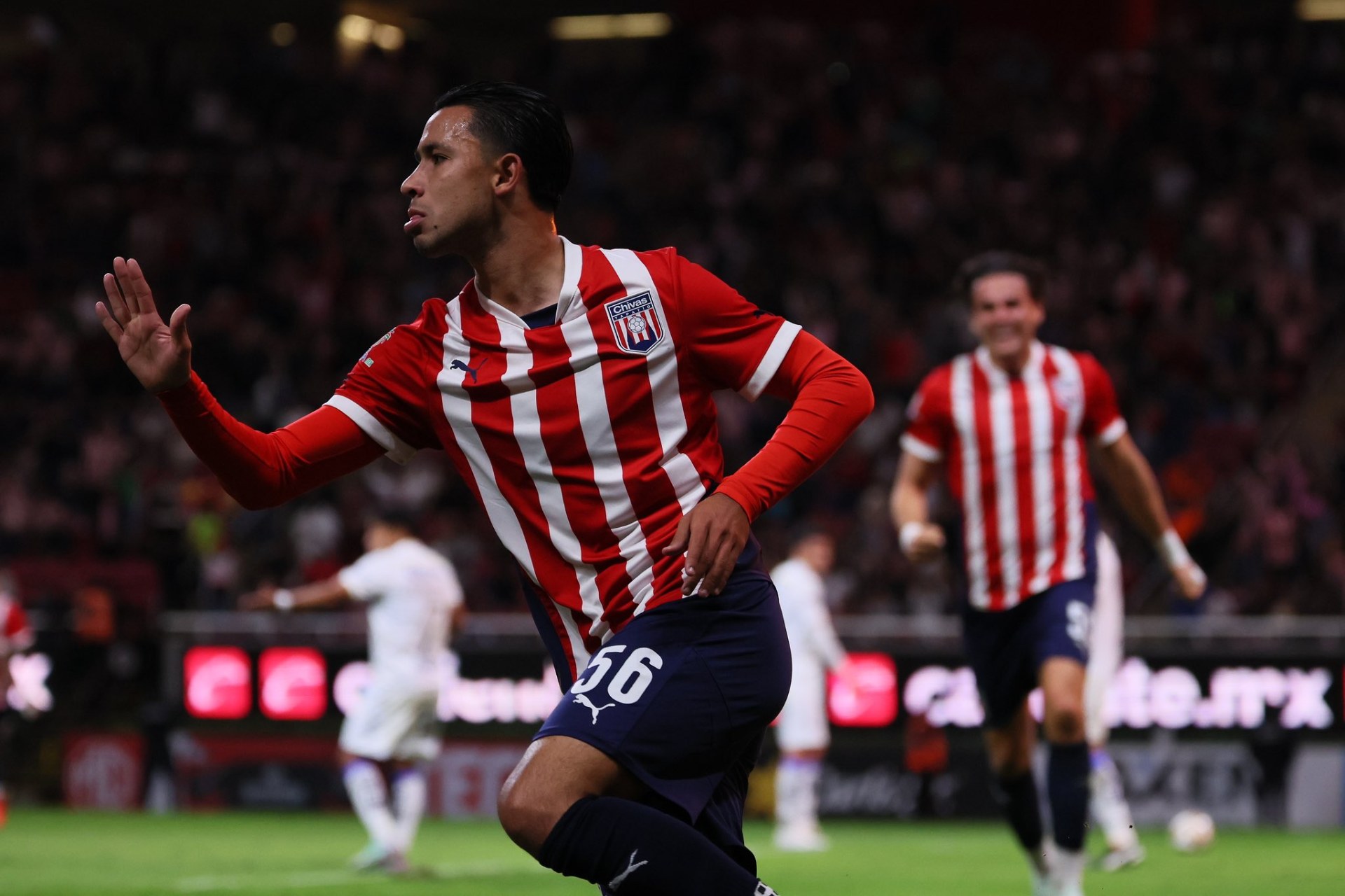 Tapatío es campeón del Apertura 2024 de la Liga Expansión MX